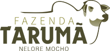 Fazenda Tarumã